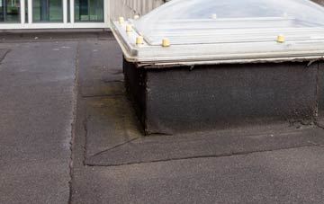 disadvantages of Muir Of Lochs flat roofs