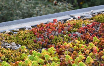 the cost of Muir Of Lochs green roof installation