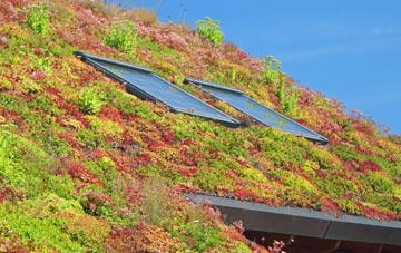 Muir Of Lochs living roof systems