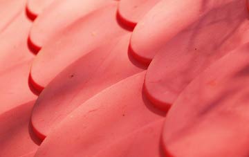 Muir Of Lochs plastic roof costs